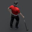 Preview_13.jpg Tiger Wood 2