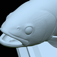 Rainbow-trout-trophy-open-mouth-1-51.png fish rainbow trout / Oncorhynchus mykiss trophy statue detailed texture for 3d printing