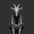 goat7.jpg Goat 3D print model