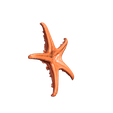 snapshot_p3d-(13).png Real starfish 3d scan