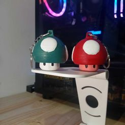 Imagen-de-WhatsApp-2023-09-06-a-las-22.36.52.jpg Fichier STL gratuit Porte-clefs - Briseur de cloques pour la vie des champignons・Design pour imprimante 3D à télécharger