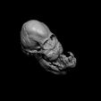 8a.jpg Calf Skull with Cyclopia