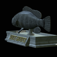 White-grouper-open-mouth-statue-20.png fish white grouper / Epinephelus aeneus open mouth statue detailed texture for 3d printing