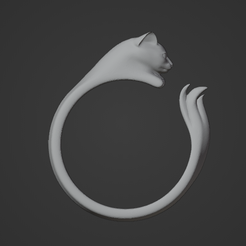 cat_ring2.png Cat ring from Dark Souls