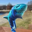 Grand requin blanc jouet articulé, corps à imprimer, tête à encliqueter, mignonne-flexi