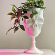 IMG_8219.jpg SKULL GOBLET /PLANTER