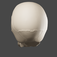 0061.png Human Skull 3D Model