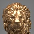 Lion (2).jpg Lion Head