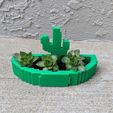 644d0340b97135d075c133c451da1250_display_large.jpg Fichier STL gratuit Jardinière ou porte-bijoux Cactus・Modèle à télécharger et à imprimer en 3D