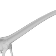 model.png mamenchisaurus