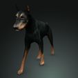 29208.jpg DOG DOG DOWNLOAD Dóberman 3d model Animated for Blender - fbx - unity - maya - unreal - c4d - 3ds max - 3D printing DOBERMAN DOG DOG PET CANINE POLICE WOLF DOG