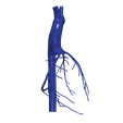 7.png 3D Model of Aorta and Coronary Arteries - 6pack