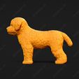 1922-Bichon_Frise_Pose_01.jpg Bichon Frise Dog 3D Print Model Pose 01