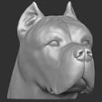 4.jpg Cane Corso dog head for 3D printing