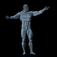 Untitled_Viewport_014.png Anatomia Humana Musculacion - Muscle Anatomy human adapted Print