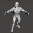 Owen-LJN.png WWF Owen Hart Custom  LJN WWE