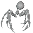 spider-5.png Ranchnera SFW