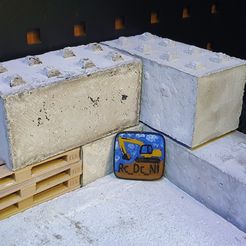 20230921_132842.jpg RC-DC-NI Bagger-Magnet/Abzeichen