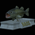 Bass-mount-statue-5.png fish Largemouth Bass / Micropterus salmoides open mouth statue detailed texture for 3d printing