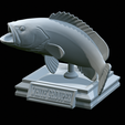 White-grouper-open-mouth-1-50.png fish white grouper / Epinephelus aeneus trophy statue detailed texture for 3d printing