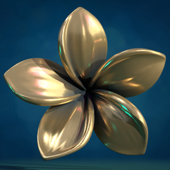 Plmr1-02.png 3D file Plumeria Flower・Template to download and 3D print