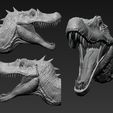 04.jpg Spinosaurus Head