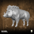 17.png Boar Animal 3D printable File for action figures