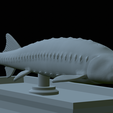 Sturgeon-statue-22.png fish beluga / sturgeon / huso huso / vyza velká statue detailed texture for 3d printing