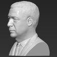 4.jpg Nigel Farage bust ready for full color 3D printing