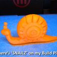 build_plate_display_large.jpg SNAILZ... Note holders for people who are slow to get things done!