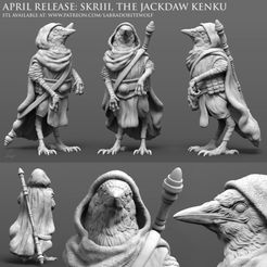 Skriii-Patreon-Release.jpg STL file Skriii, the Jackdaw Kenku・3D printer model to download