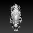 14.jpg STL-Datei Xenomorph skull with base herunterladen • 3D-druckbare Vorlage, SKULLHILL