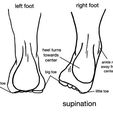 foot-inversion-supination.jpg Pronation/Supination shoe inserts