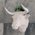 bull-head-planter-1.png Angry bull head planter pot STL