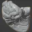 43.PNG.23ebe79c4cdc4bdc4b0d90124c63e5d8.png 3D Model of Human Brain