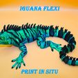 iguana_flexi3.jpg iguana_flexi_printinsitu