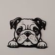 WhatsApp-Image-2024-01-27-at-13.03.33-1.jpeg Charming Bulldog Peekaboo Wall Art STL File for 3D Printing