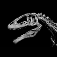1000045179.png Carcharodontosaurus Skeleton