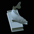 zander-statue-4-mouth-open-46.png fish zander / pikeperch / Sander lucioperca open mouth statue detailed texture for 3d printing