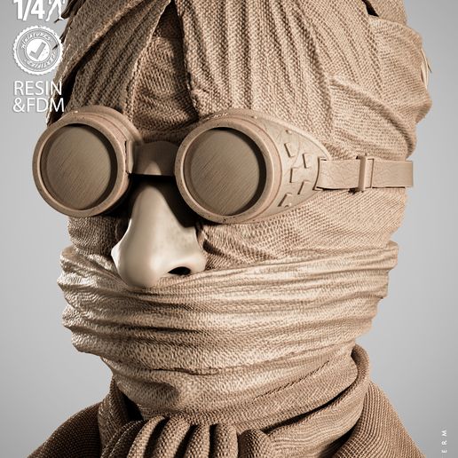 230925~4.jpg WICKED MOVIES INVISIBLE MAN PORTRAIT BUST: TESTED AND READY FOR 3D PRINTING