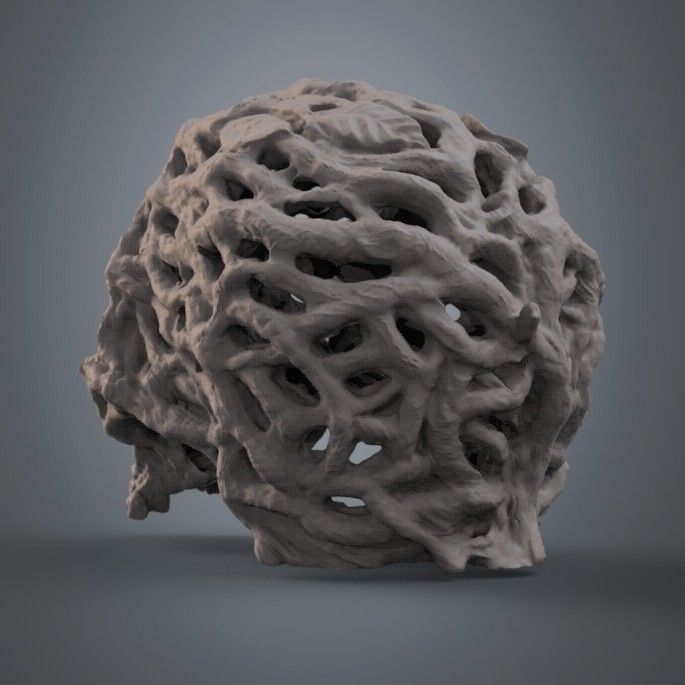 root skull 1.58.jpg Fichier STL Crâne de racine・Modèle pour impression 3D à télécharger, JGranite