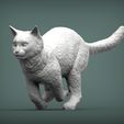 running-cat2.jpg running cat 3D print model