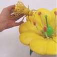 flor-polinizacion-abeja.jpg Archivo STL Flor didáctica. Puzzle 3D.・Diseño imprimible en 3D para descargar