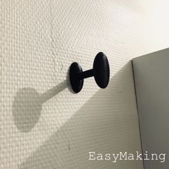 IMG_7425.jpg STL file Wall Coat Door・3D printable design to download