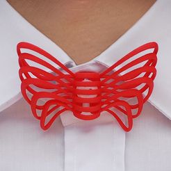 DSC_4954_2.jpg STL file Butterfly Bow Tie・3D printer model to download, FORMBYTE