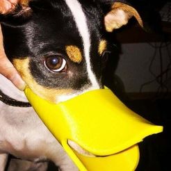 54578611656798245210940077c32ced_preview_featured.jpg Free STL file cute dog muzzle・3D printable object to download
