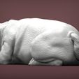 pug-for-3d-printing-3d-model-15b8fc21a8.jpg pug is sleeping 3D print model
