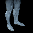 Untitled_Viewport_009.png Anatomia Humana Musculacion - Muscle Anatomy human adapted Print