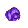 Beagle_puppy.obj Puppy of Beagle dog head for 3D printing
