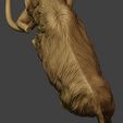 Mammoth-P2-0016.jpg Mammoth P2